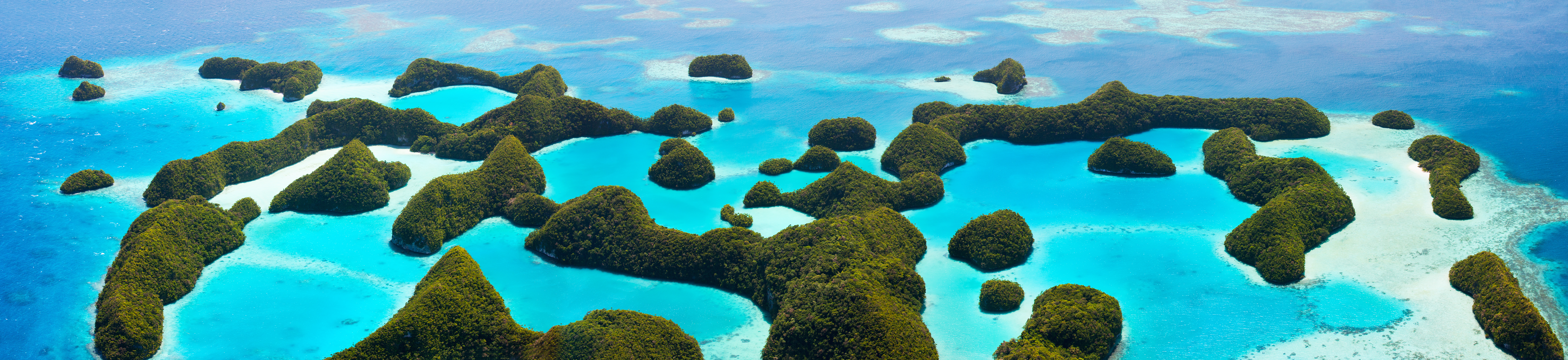 Asia Pacific landscape
