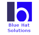 BLUE HAT SOLUTIONS PRIVATE LIMITE logo.png